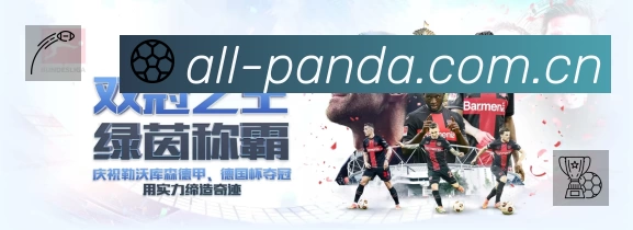实况讲解